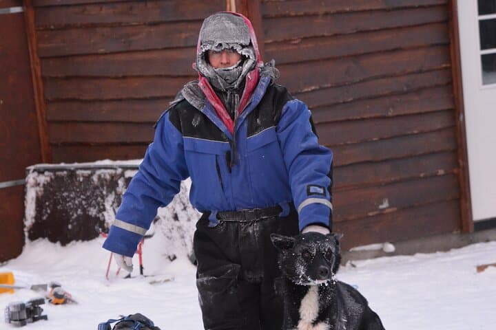Kiruna Husky Sit-and-Drive Combo — 18km Mushing Experience photo 4