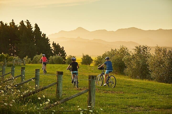Full-Day Private Marlborough Wine Region Bike Tour from Blenheim photo 4