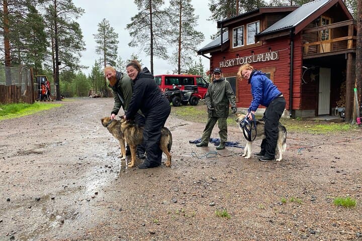 Autumn Husky Sit-and-Drive Cart Tour in Kiruna photo 4