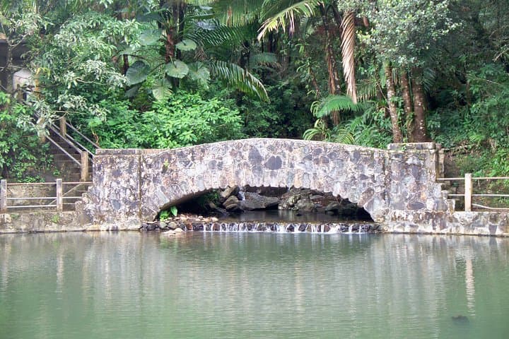 El Yunque Rainforest and Luquillo Beach Day Tour from San Juan photo 5