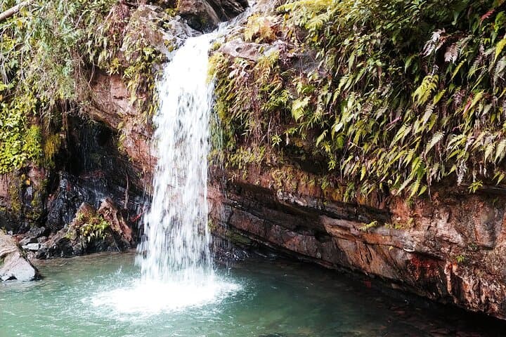 El Yunque Rainforest and Luquillo Beach Day Tour from San Juan photo 3