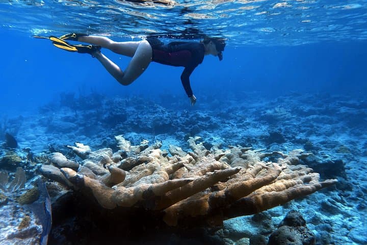 5-Day Catamaran Adventure in the Exumas: Staniel Cay Sailing & Snorkeling photo 6