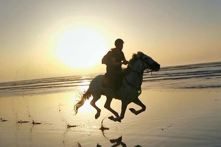 Sunset Horseback Ride in Essaouira — 2-Hour Beach & Dunes Experience photo 2