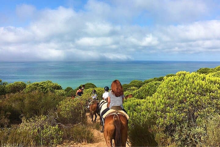 Horseback Riding in Doñana: Forest Trails & The El Rocío Pilgrimage photo 4