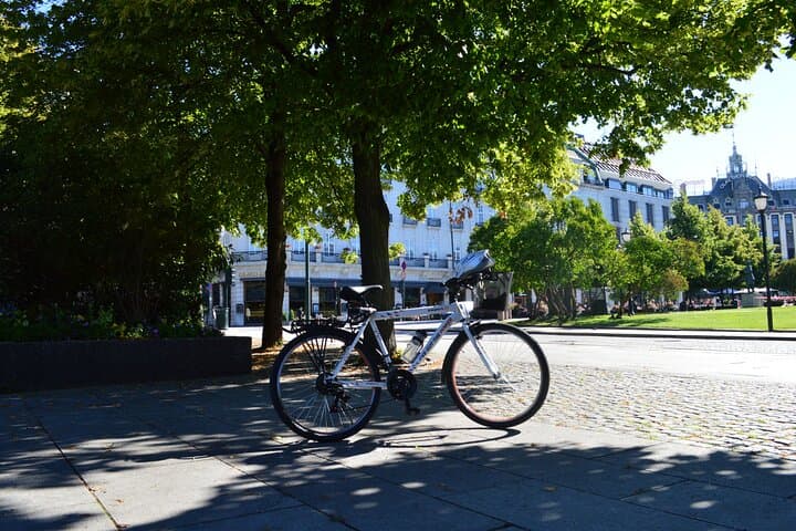 Biking Oslo Like a Local: Private 3‑Hour Urban Ride with Waffle Stop photo 3