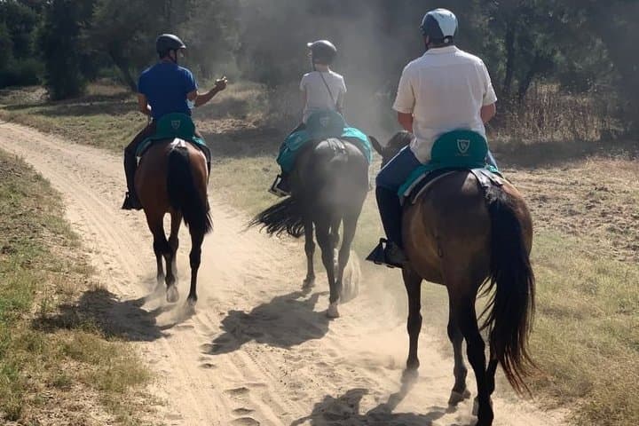 Horseback Riding the Northern Camino: 7-Day Abadín to Arzúa Equestrian Route photo 6