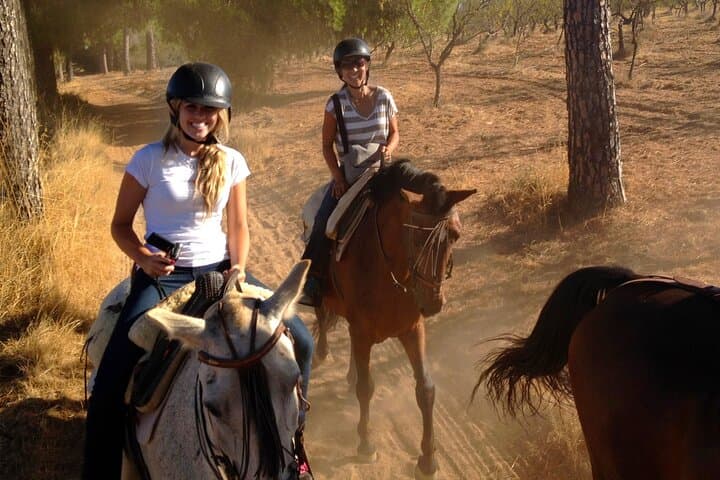Horseback Riding in Doñana: Forest Trails & The El Rocío Pilgrimage photo 6