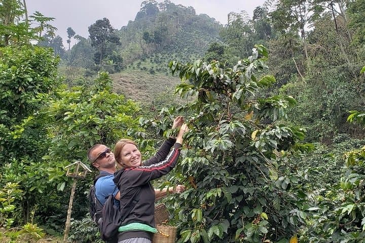 Guatapé & El Peñol Coffee Villa Day Trip from Medellín: Rock Climb, Town, and Organic Coffee photo 6