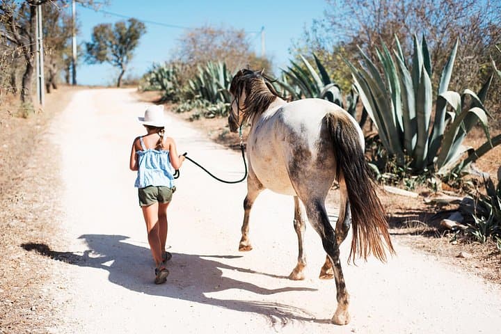 Walk with Rescued Horses in Lagos: Holistic Horse Sanctuary Experience photo 3