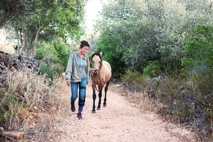 Walk with Rescued Horses in Lagos: Holistic Horse Sanctuary Experience photo 4