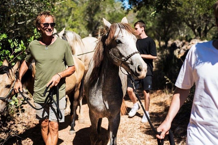 Walk with Rescued Horses in Lagos: Holistic Horse Sanctuary Experience photo 5