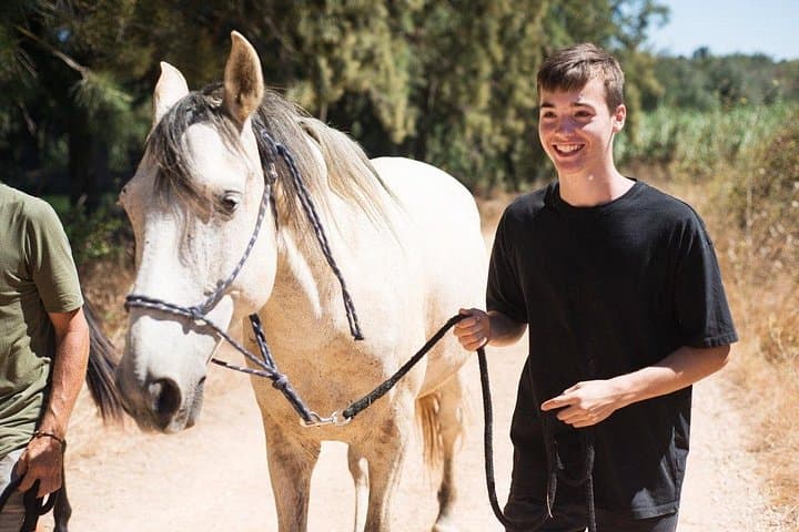 Walk with Rescued Horses in Lagos: Holistic Horse Sanctuary Experience photo 6
