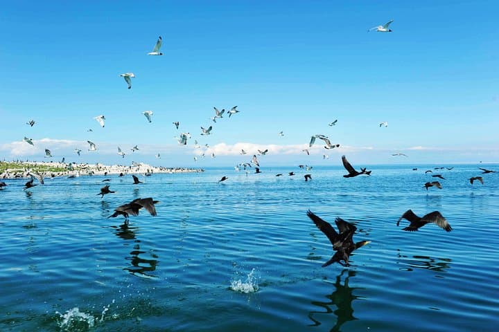8-Day Silk Road Private Journey: Xining to Dunhuang — Qinghai Lake, Rainbow Mountains & Mogao Caves photo 6