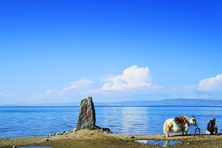 8-Day Silk Road Private Journey: Xining to Dunhuang — Qinghai Lake, Rainbow Mountains & Mogao Caves photo 5