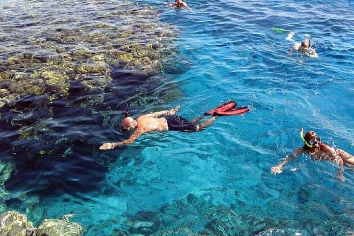 Swim With Dolphins Tour Hurghada — Snorkel Shaab Samadai and Giftun photo 3