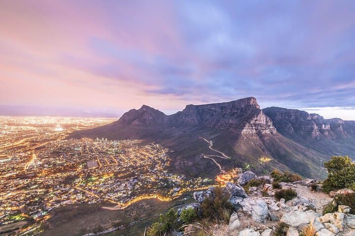 Full-Day Private Cape Peninsula Highlights — Cape Point, Boulders Beach & Constantia Wine Tasting