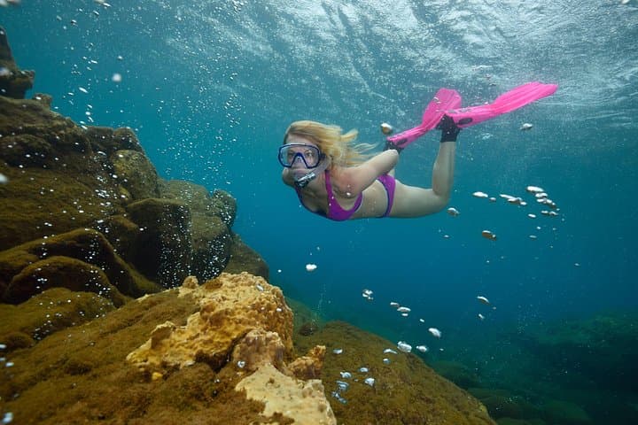 Champagne Reef Snorkeling at Champagne Beach — Swim the Volcanic Bubbles in Dominica