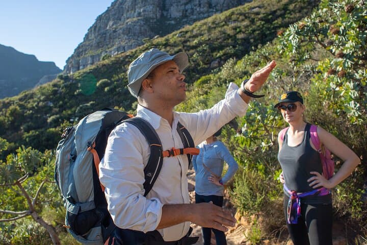 Hike Table Mountain & Explore Cape Town: Full-Day Private Adventure photo 3
