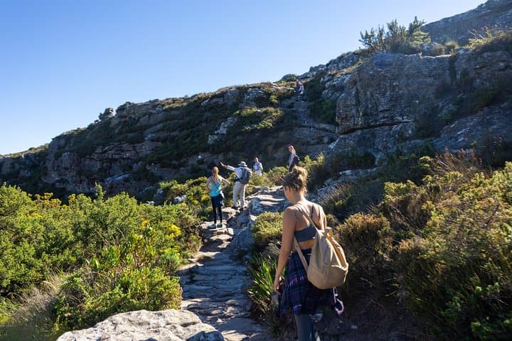 Hike Table Mountain & Explore Cape Town: Full-Day Private Adventure photo 2