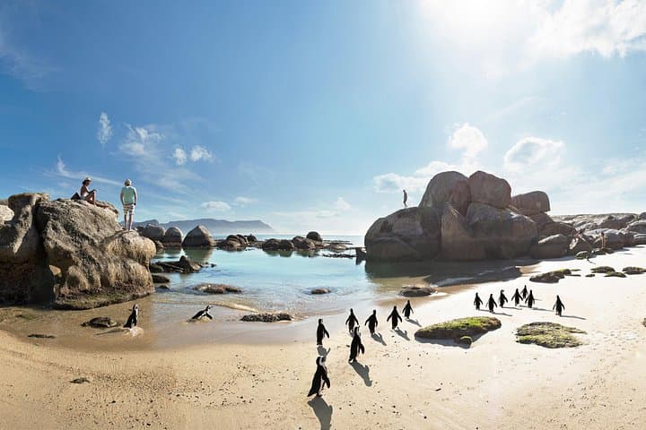 Sea Kayaking to Cape Point: Private Full-Day False Bay & Penguin Colony Adventure photo 4