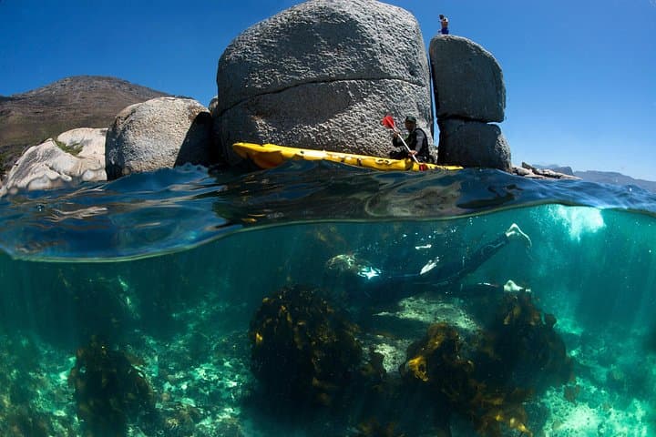 Sea Kayaking to Cape Point: Private Full-Day False Bay & Penguin Colony Adventure photo 2