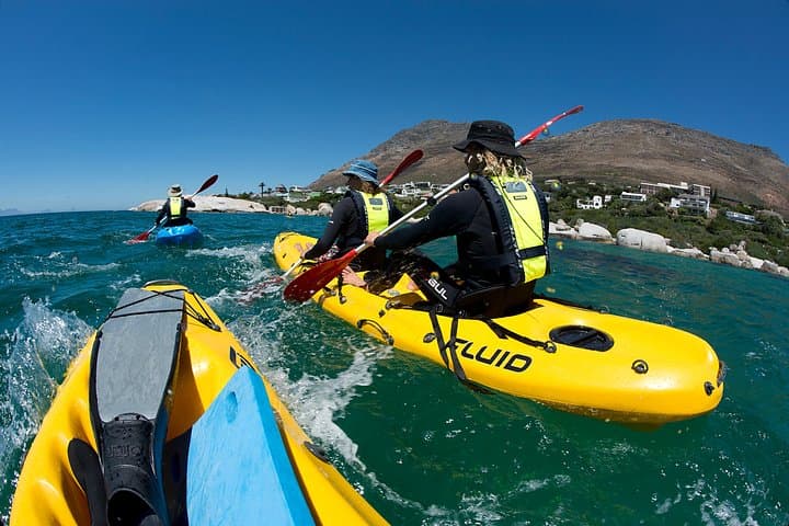 Sea Kayaking to Cape Point: Private Full-Day False Bay & Penguin Colony Adventure