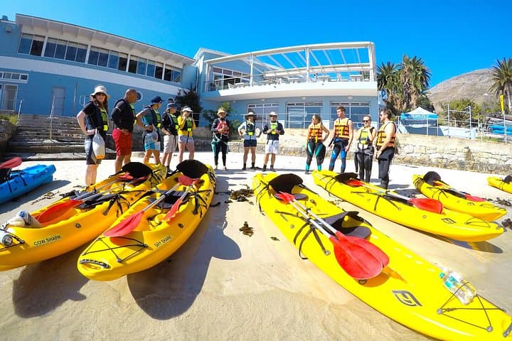 Sea Kayaking to Cape Point: Private Full-Day False Bay & Penguin Colony Adventure photo 3