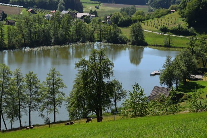 Silvretta High Alpine Road: Private Day Trip from Lake Constance photo 6