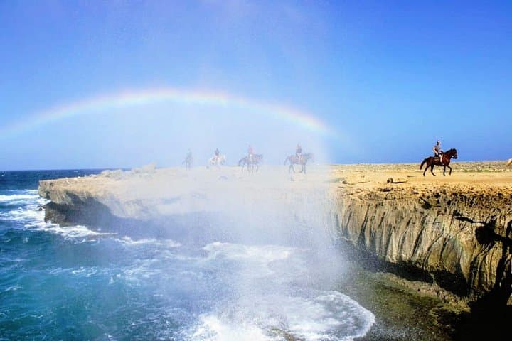 Aruba Northern Coast Horseback Riding: 90-Min Beach & Ruins Tour photo 4