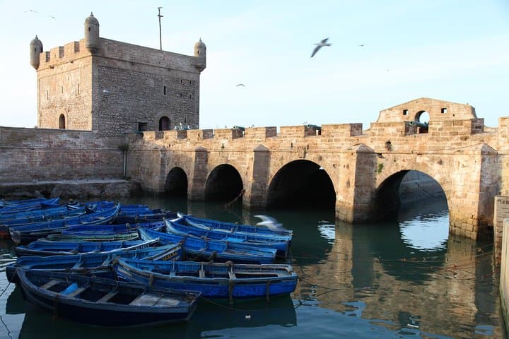 Private Day Trip from Marrakech to Essaouira — Argan Goats, UNESCO Medina & Atlantic Coast photo 2