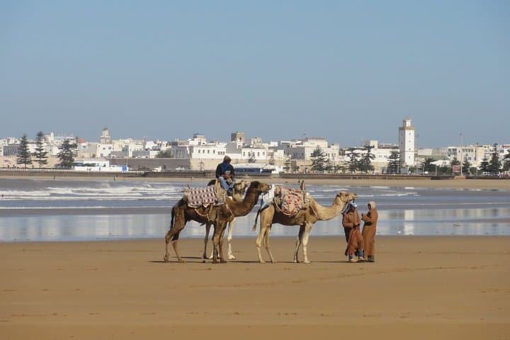 Private Day Trip from Marrakech to Essaouira — Argan Goats, UNESCO Medina & Atlantic Coast photo 5