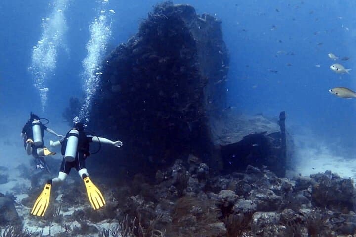 Aruba 2-Tank Certified Dive: Reefs, Wrecks & Morning Boat Excursion photo 3