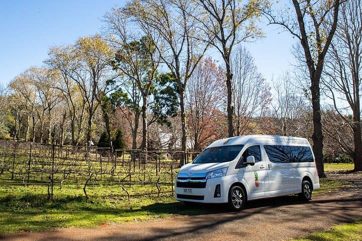 Mt Tamborine Shuttle from Gold Coast: Rainforest, Waterfalls & Wineries in a Day photo 2