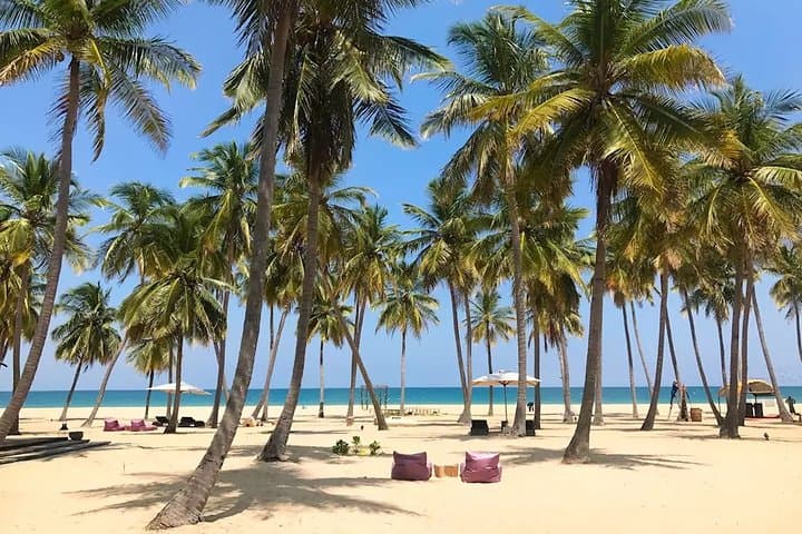 3-Day Passikudah Beach & Whale-Watching Tour from Anuradhapura photo 5