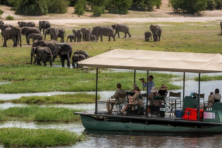 Chobe Nights: 2-Day Camping Safari from Victoria Falls with River Cruise photo 3