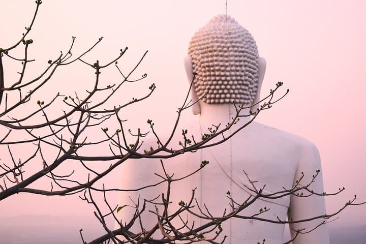 Athugala & Silver Temple Day Tour from Dambulla — Elephant Rock, 88-ft Buddha & Ridigama photo 3