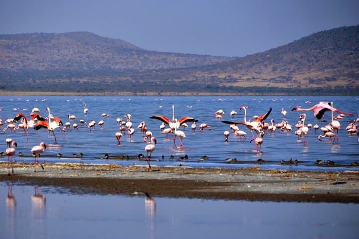 2-Day Great Rift Valley Lakes Tour — Adadi Mariam Rock Church, Tiya Stelae & Lake Ziway photo 2