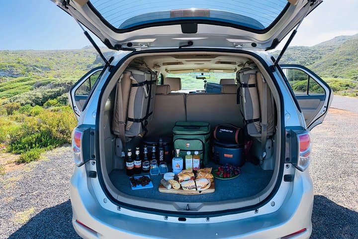 Cape Peninsula Day Tour: Penguins, Cape of Good Hope & Chapman’s Peak Drive photo 4