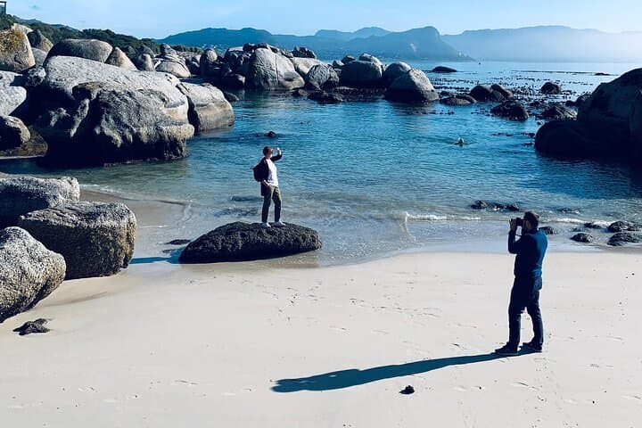 Cape Peninsula Day Tour: Penguins, Cape of Good Hope & Chapman’s Peak Drive photo 6