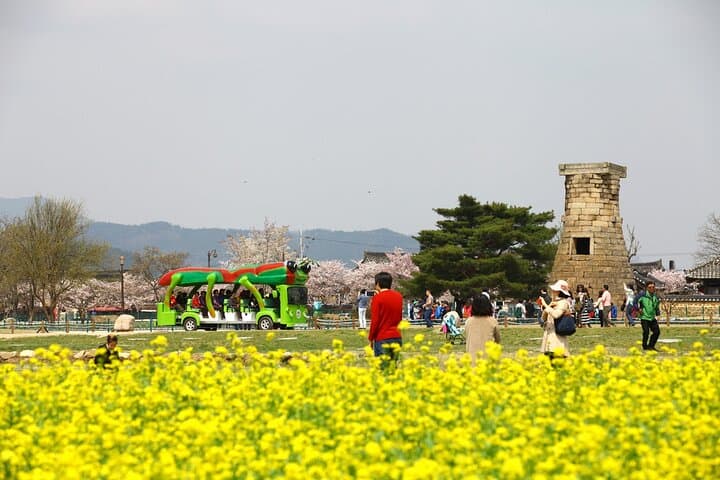 Seoul to Gyeongju and Busan: 2-Day KTX Rail Tour of Silla Heritage and Coastal Markets