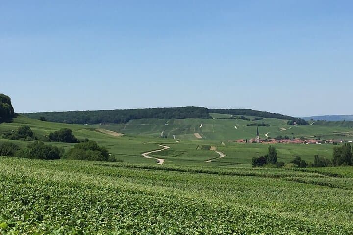 Day Trip to Champagne from Paris: Reims Cellars, Vineyard Visits & Lunch photo 6
