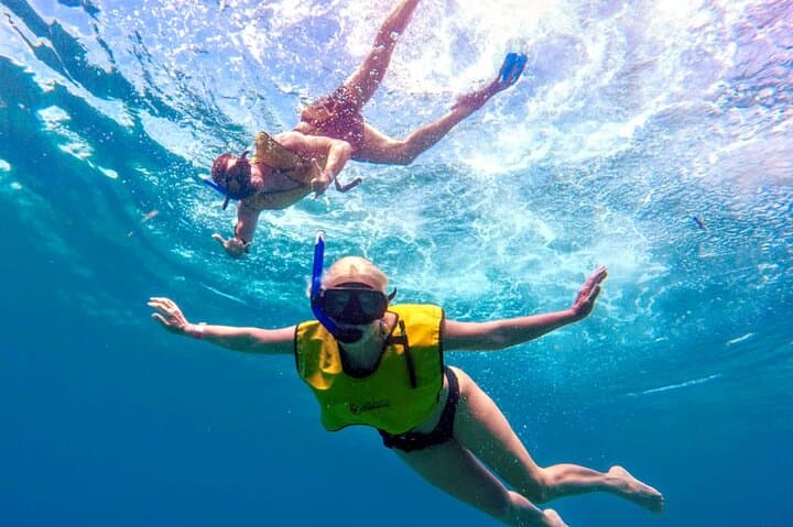 ATV Mud-Kicking and Snorkel Cruise at Tortugas Beach Club, Cozumel photo 6