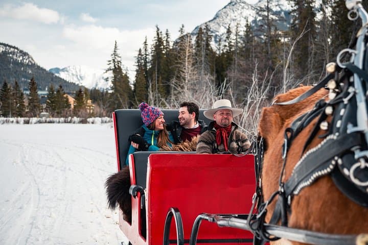Private Horse-Drawn Sleigh Ride in Banff: A Winter Escape into Alpine Meadows photo 2