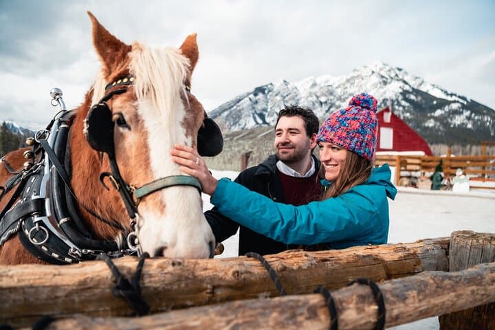 Private Horse-Drawn Sleigh Ride in Banff: A Winter Escape into Alpine Meadows photo 3