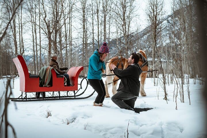 Private Horse-Drawn Sleigh Ride in Banff: A Winter Escape into Alpine Meadows photo 4