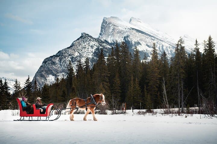 Private Horse-Drawn Sleigh Ride in Banff: A Winter Escape into Alpine Meadows photo 6