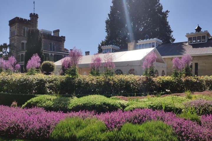 Dunedin City Highlights and Larnach Castle Tour — Otago Peninsula Views photo 3