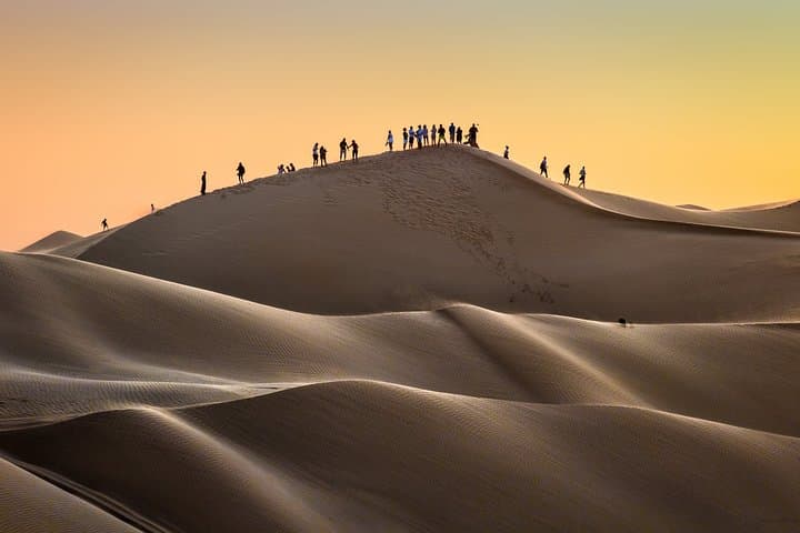 Full-Day Desert Safari to Ubar Lost City from Salalah — Dune Bashing & Cultural Stops photo 4