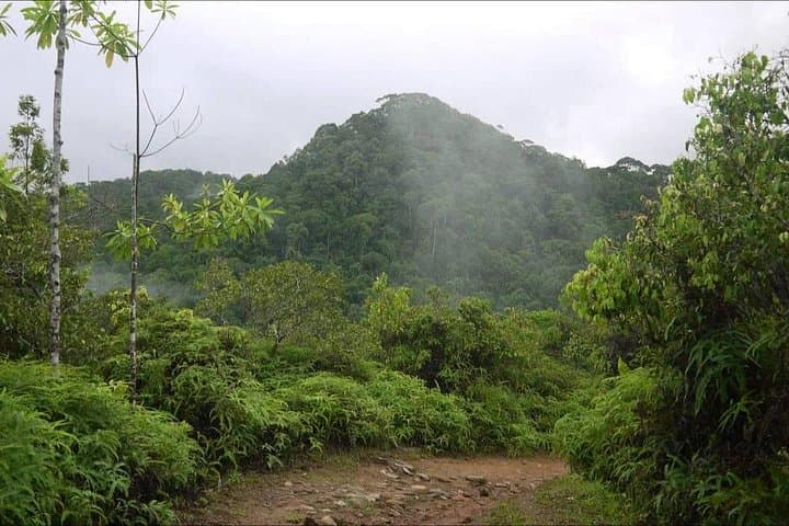 Sinharaja Rain Forest Day Tour from Hambantota — Trekking the UNESCO Lowland Forest photo 4