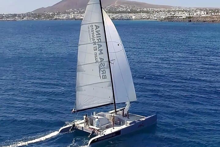 Half-Day Catamaran F40 Sailing in Lanzarote with Snorkeling
